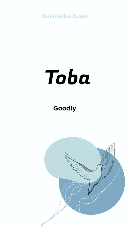 Meaning of Toba