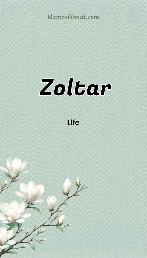 Meaning of Zoltar