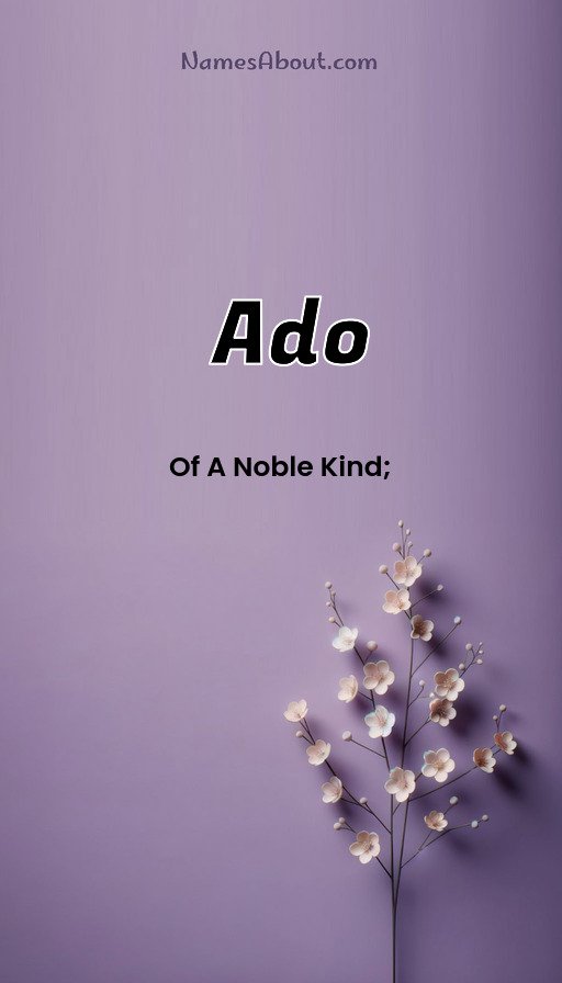 Meaning of Ado