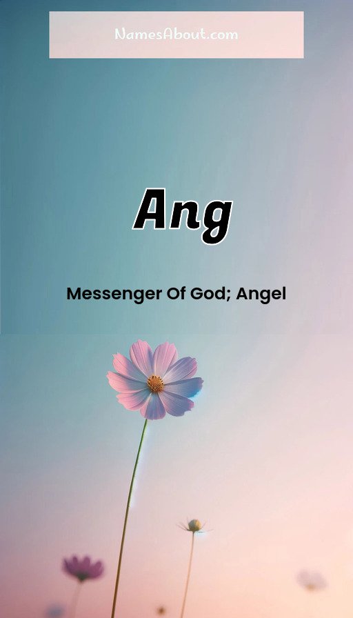 Meaning of Ang