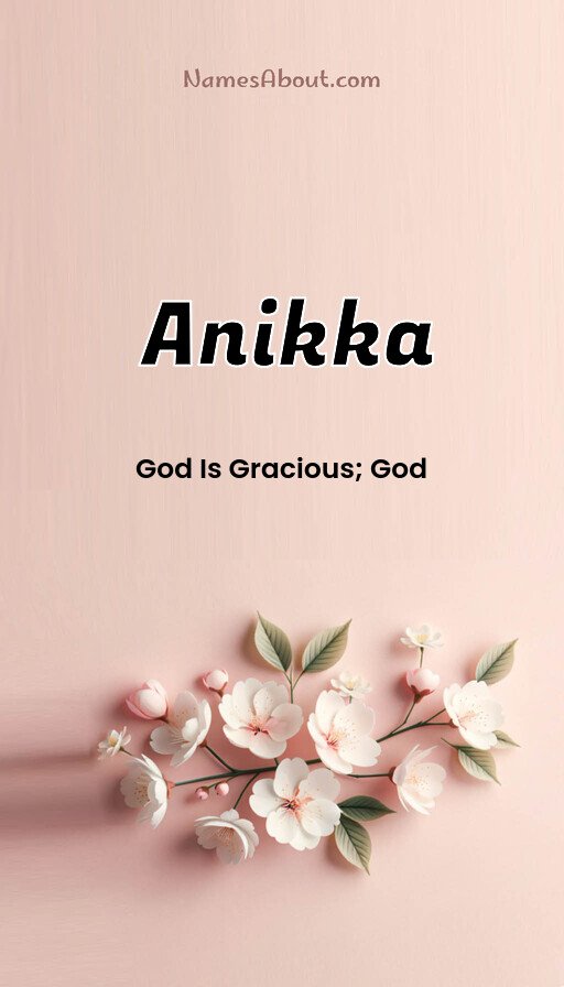 Meaning of Anikka