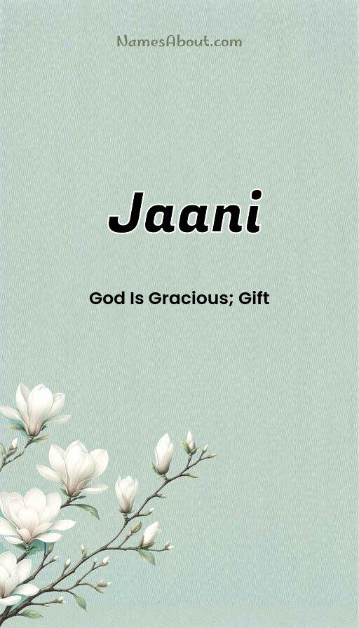 Meaning of Jaani