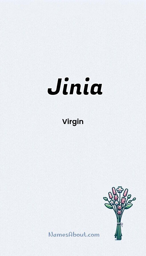 Meaning of Jinia