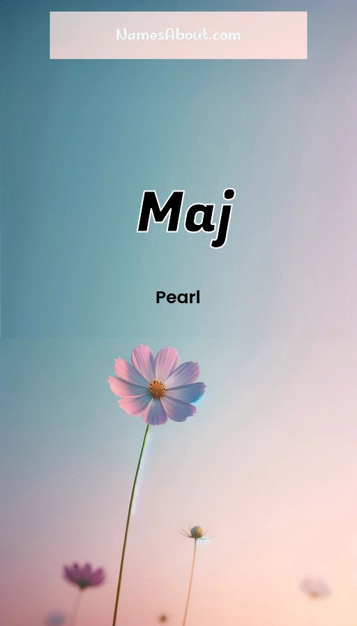 Meaning of Maj