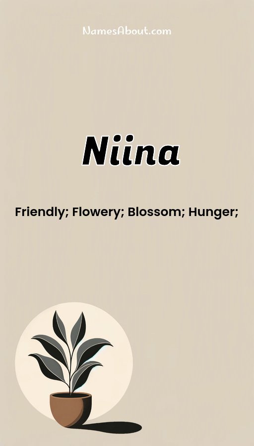 Meaning of Niina