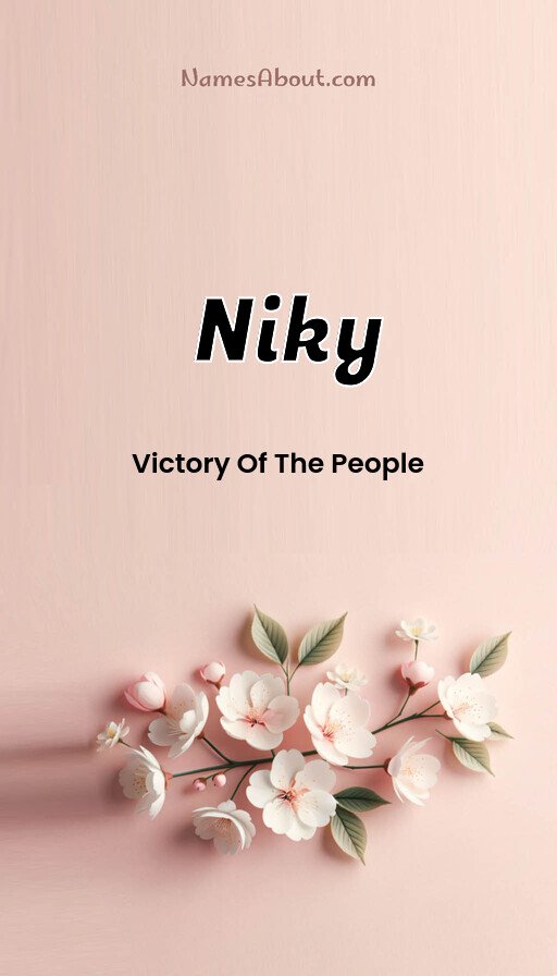 Meaning of Niky
