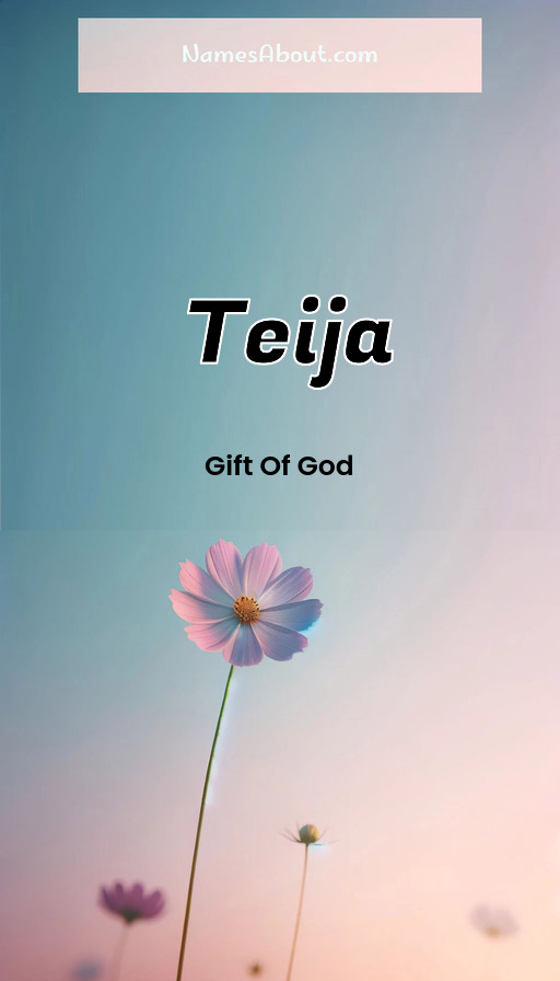 Meaning of Teija