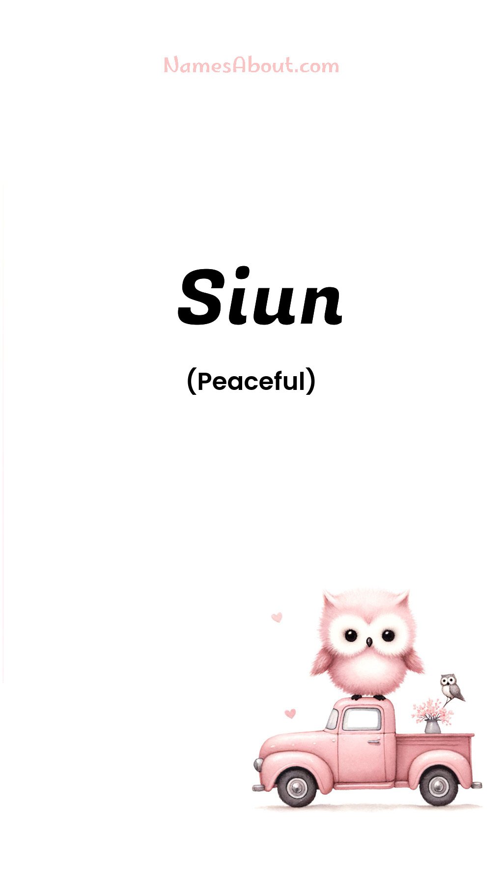 Siun name and meaning