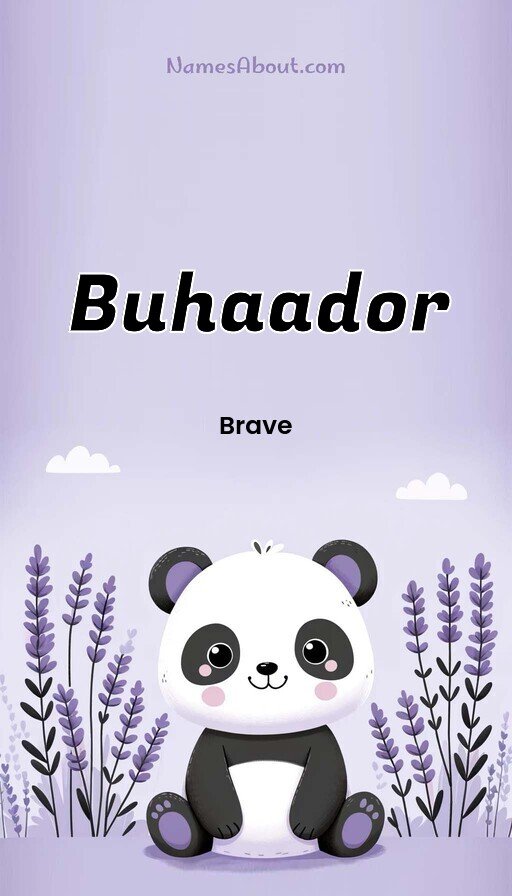 Meaning of Buhaador