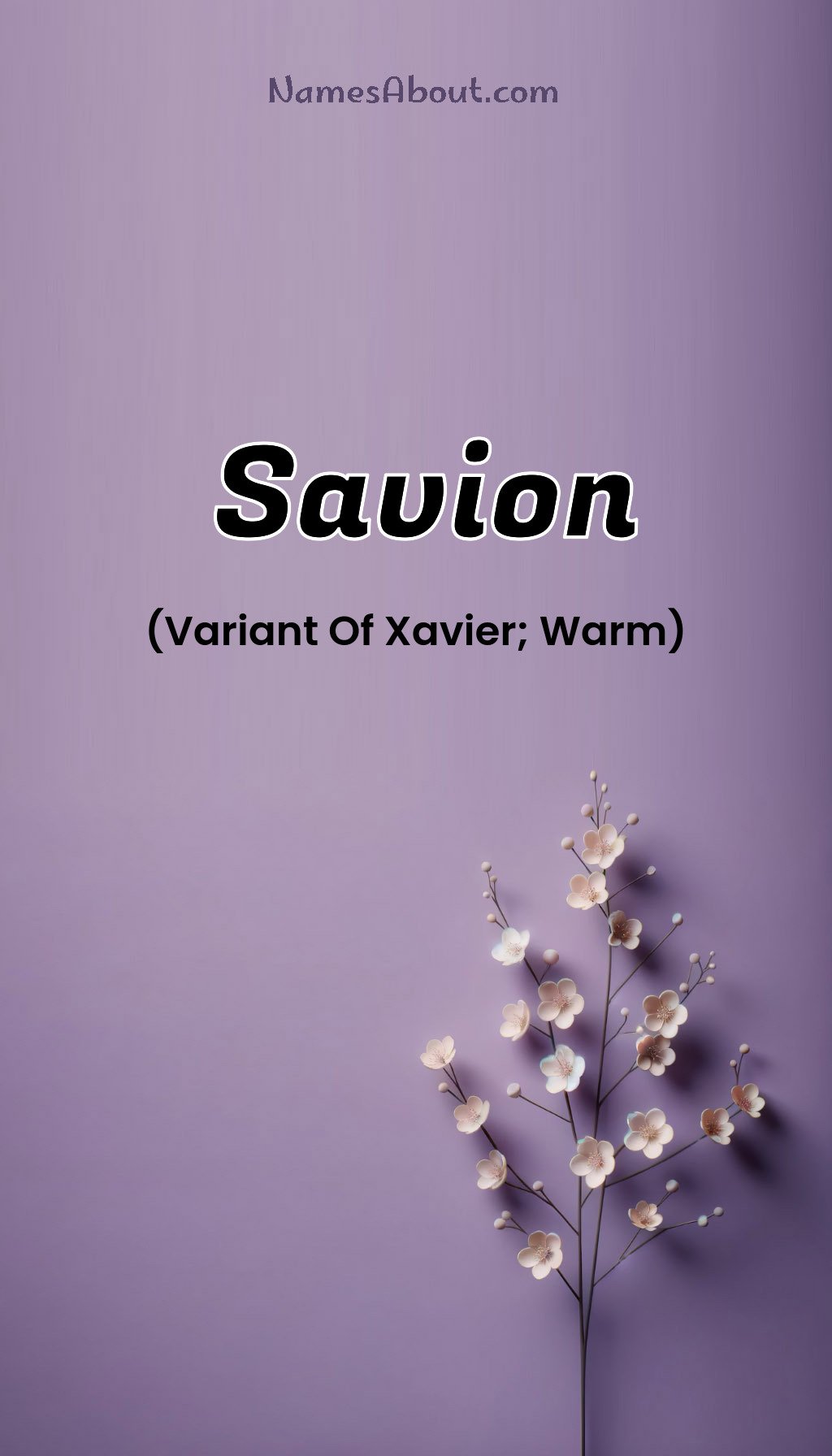 Savion name and meaning