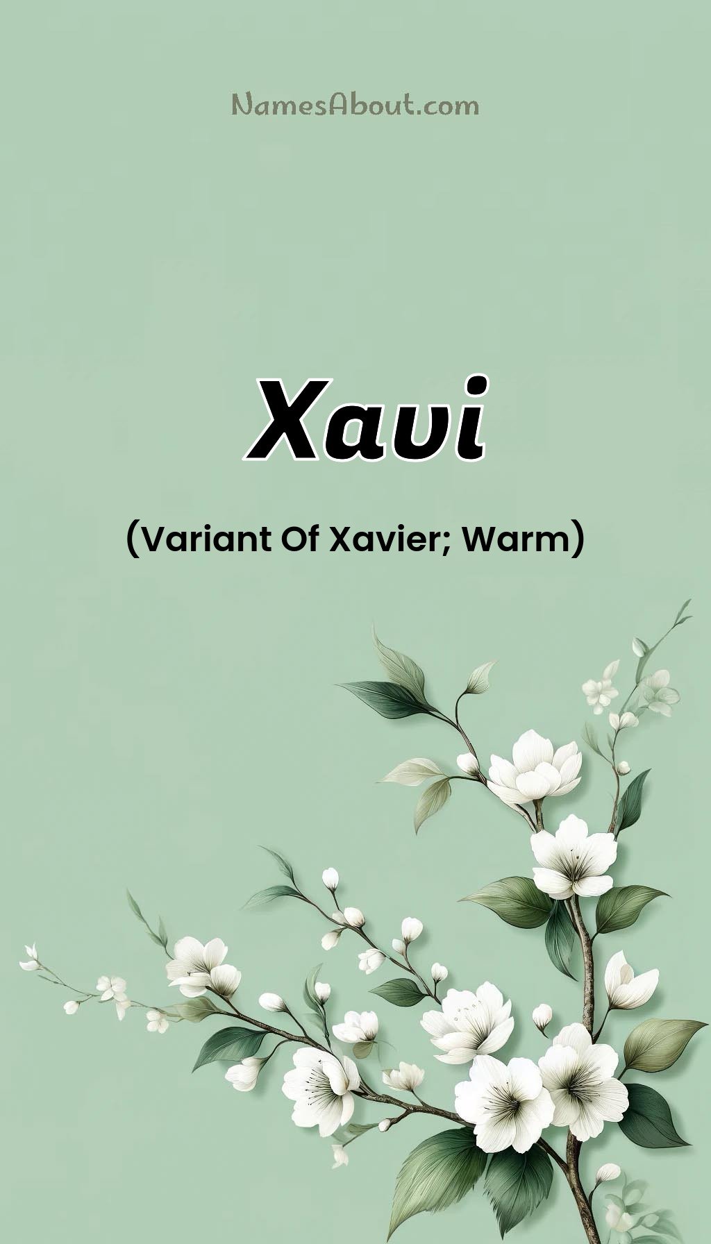 Xavi name and meaning