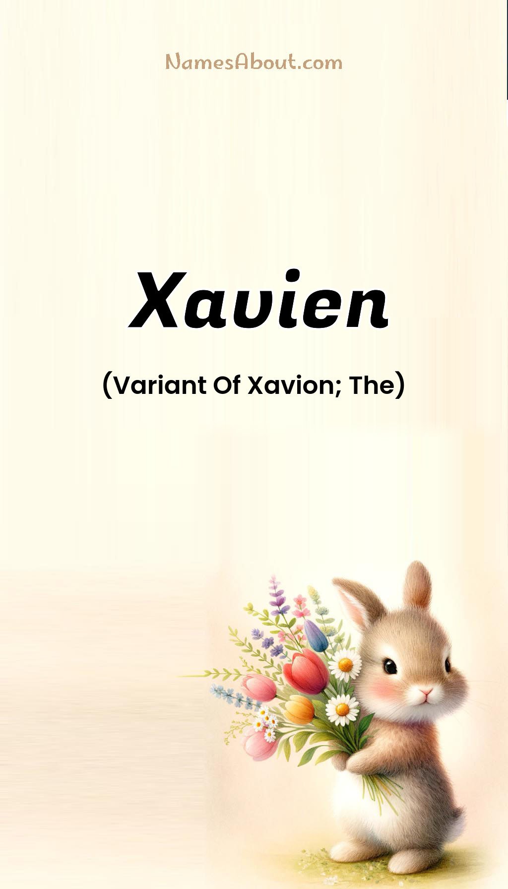 Xavien name and meaning