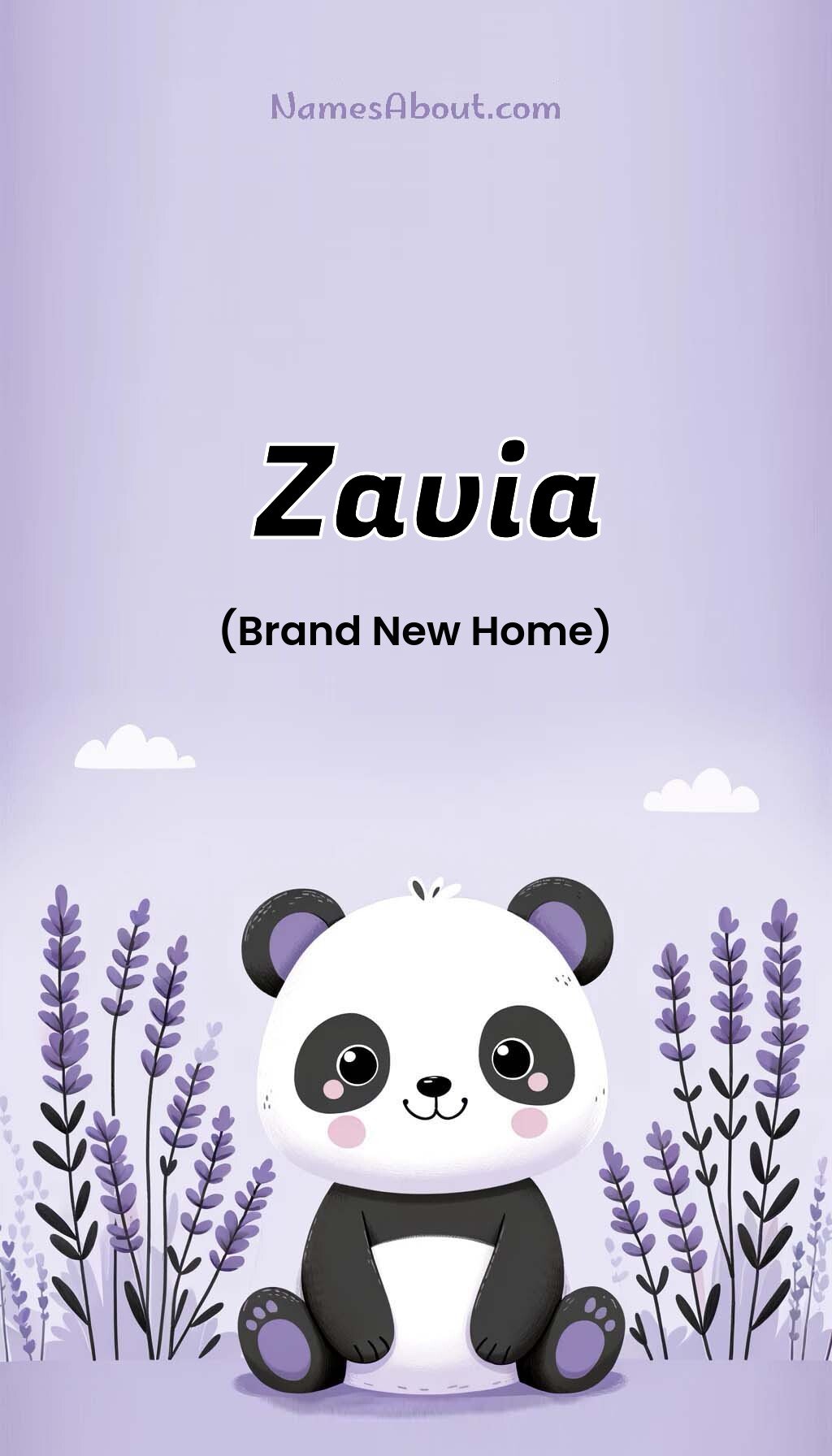 Zavia name and meaning