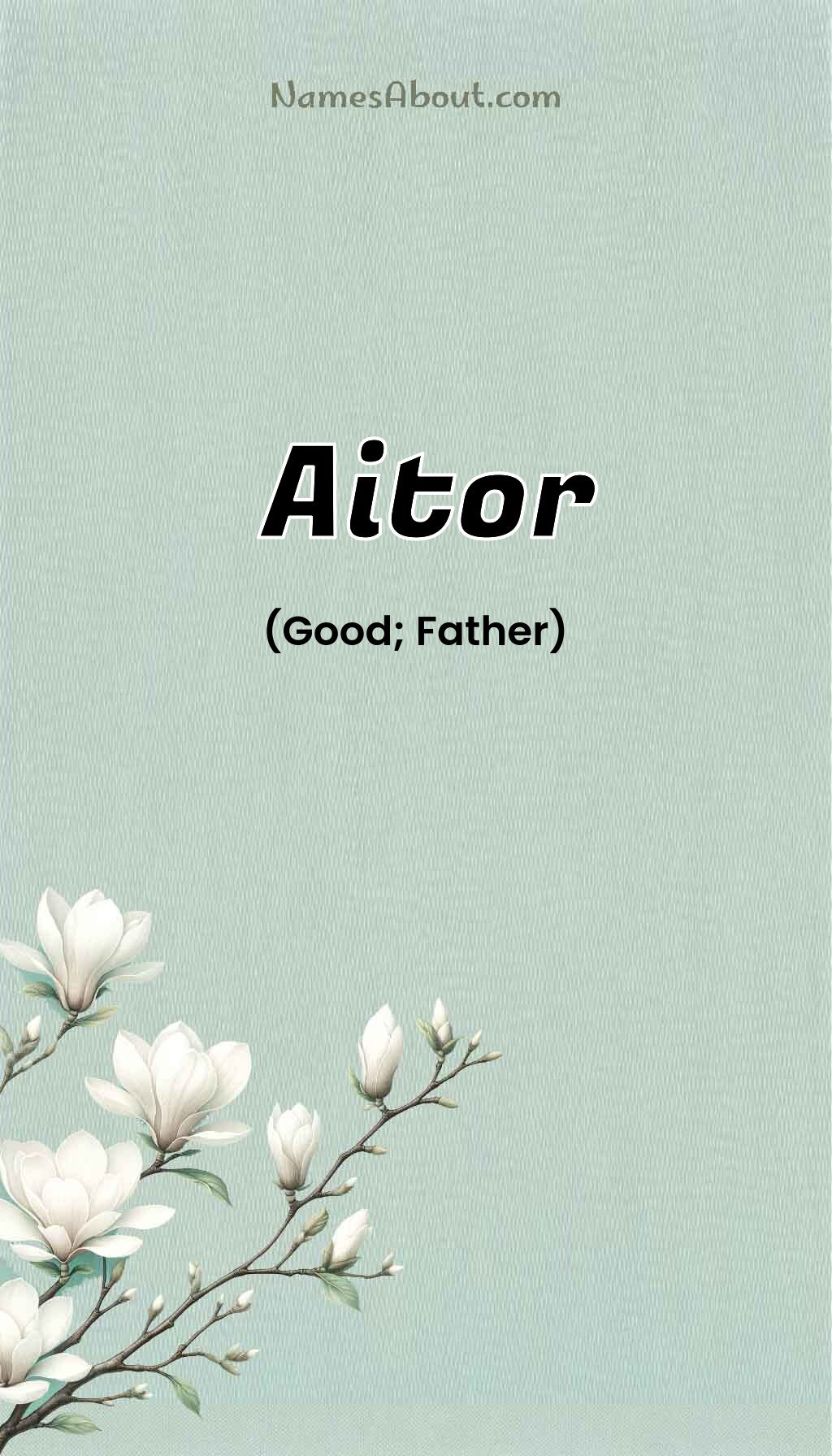 Aitor name and meaning