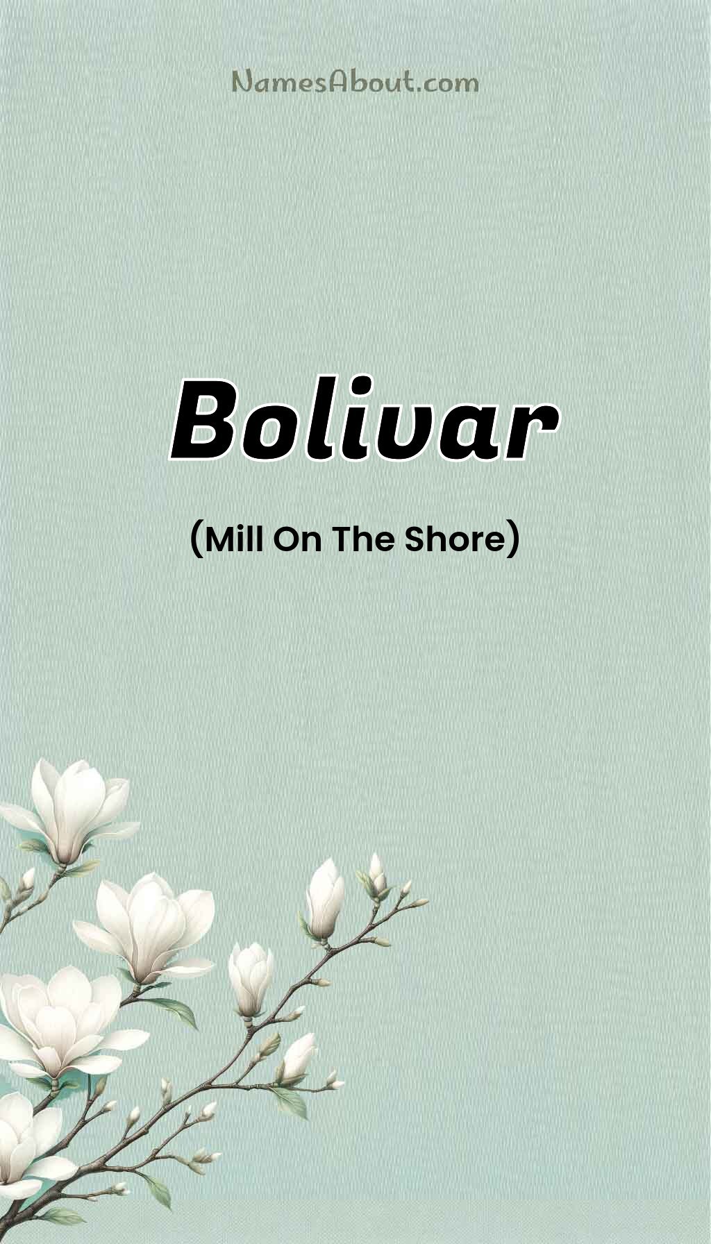 Bolivar name and meaning