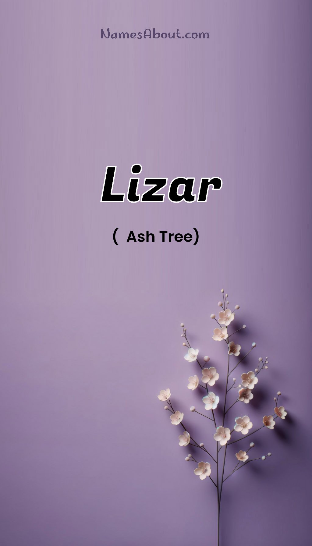 Lizar name and meaning