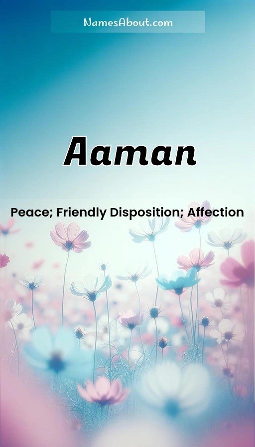 Meaning of Aaman