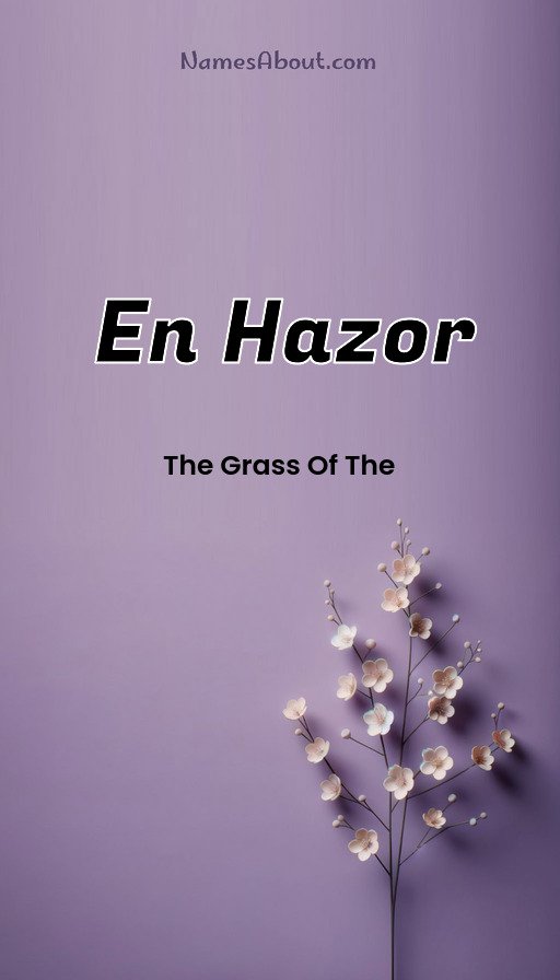 Meaning of En hazor