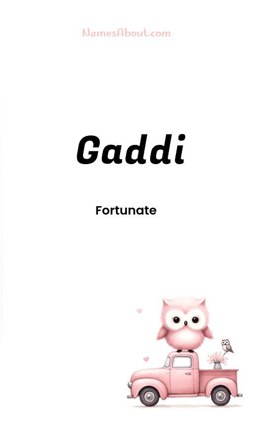 Meaning of Gaddi