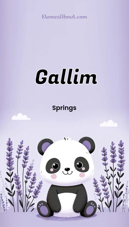 Meaning of Gallim