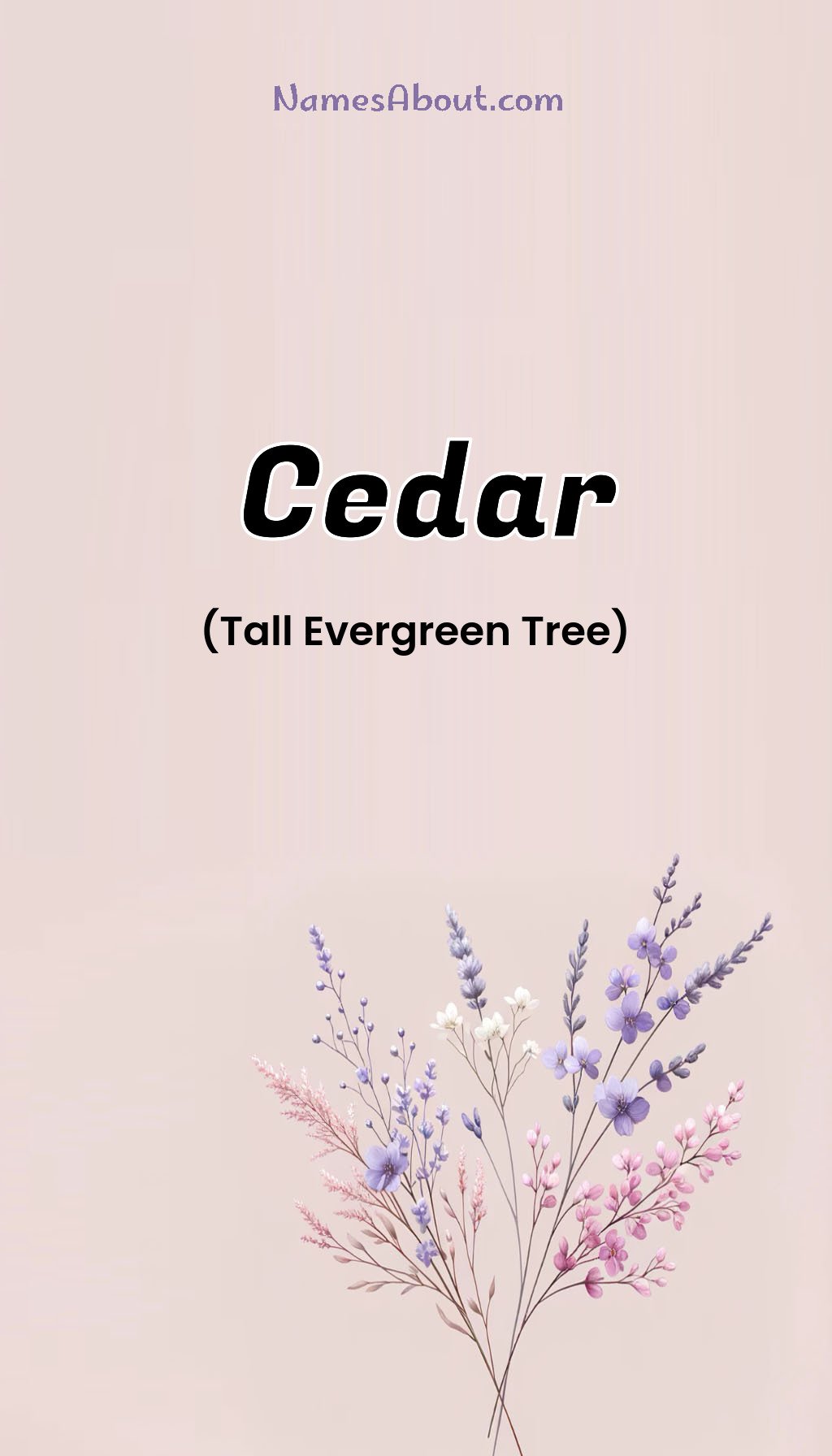 Cedar name and meaning