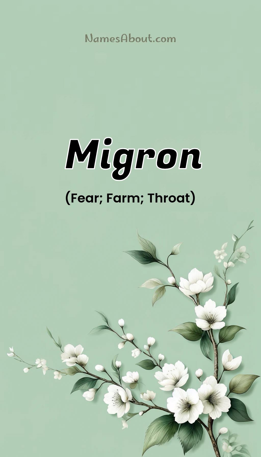 Migron name and meaning