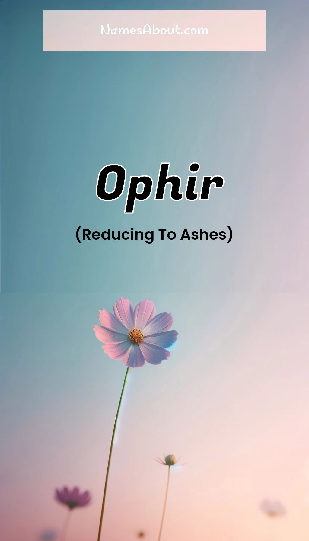 Ophir name and meaning