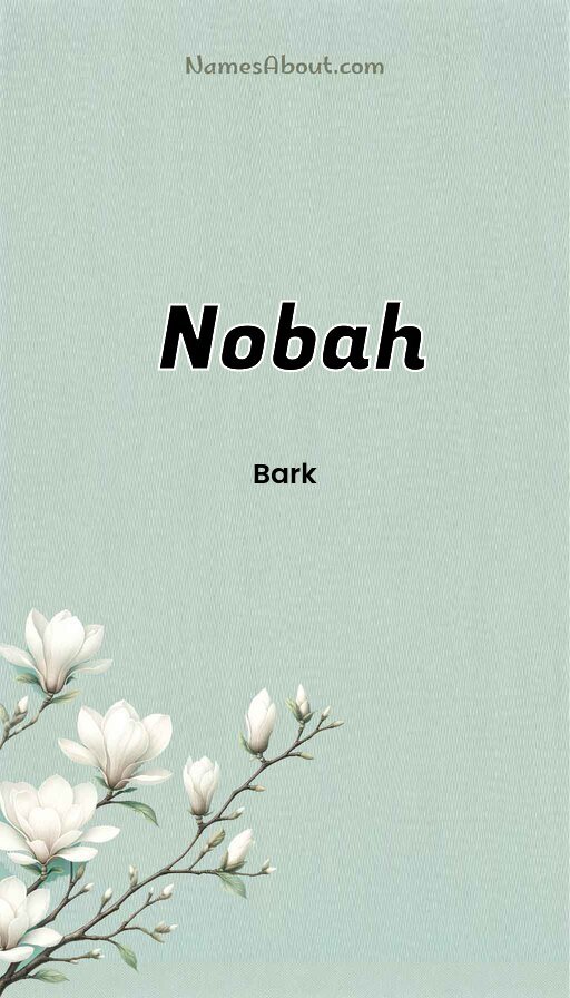 Meaning of Nobah