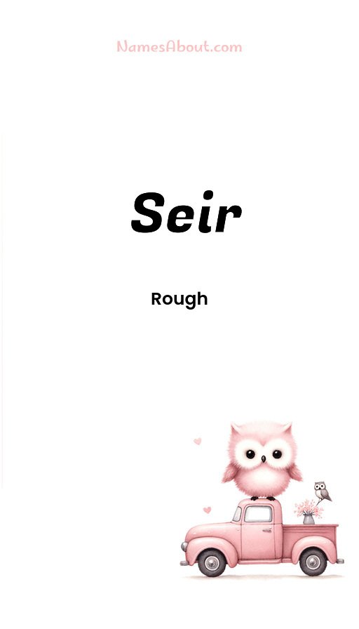 Meaning of Seir