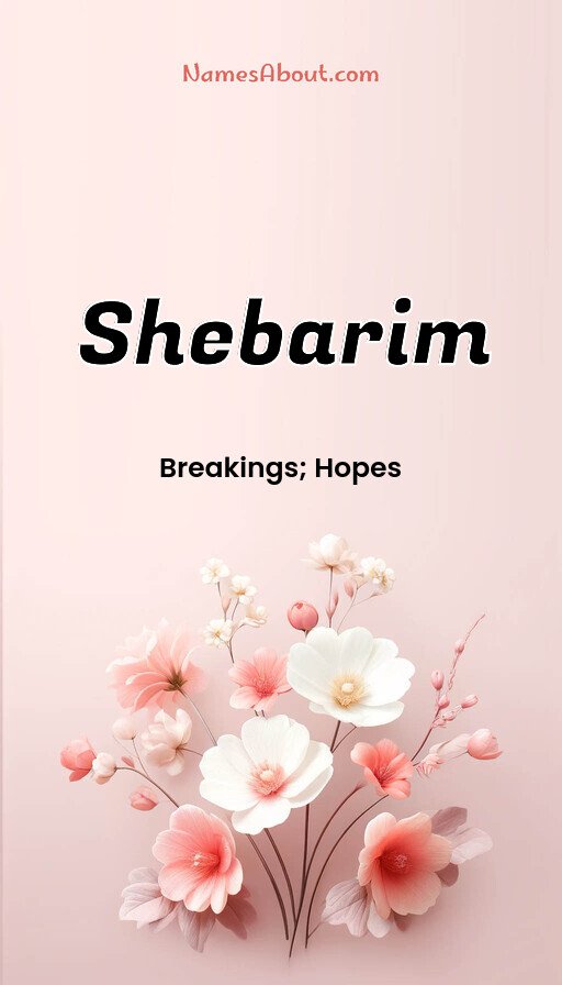 Meaning of Shebarim