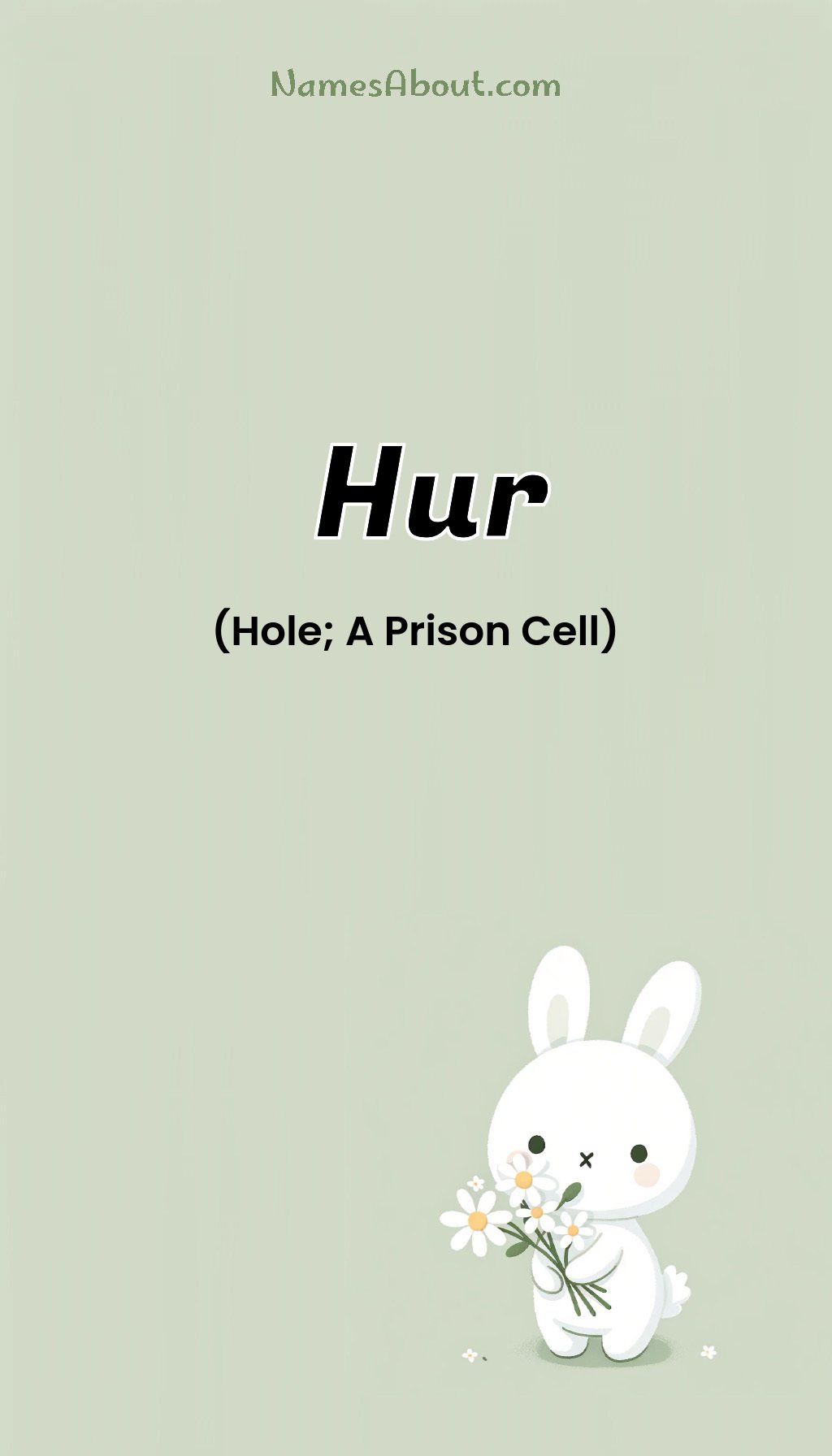 Hur name and meaning