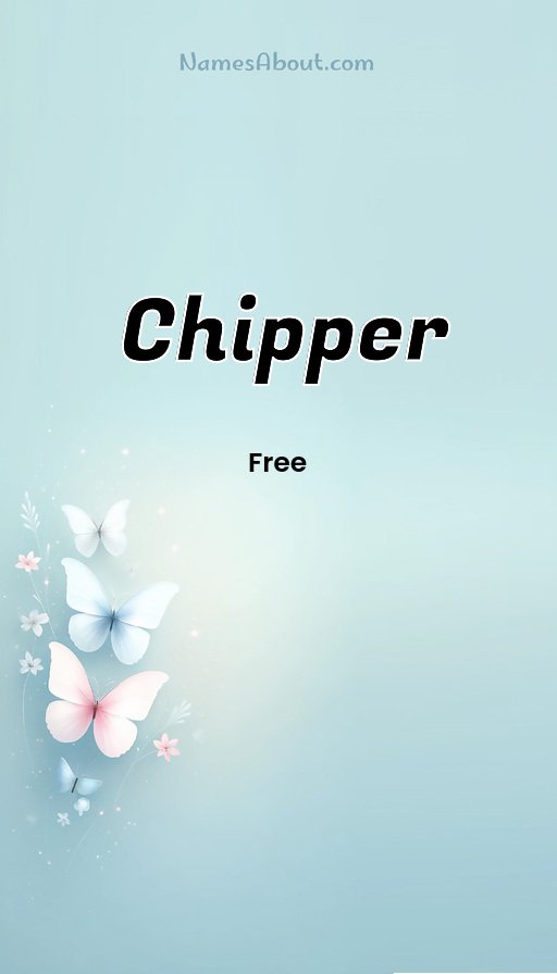 Meaning of Chipper