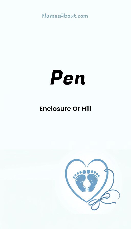 Meaning of Pen