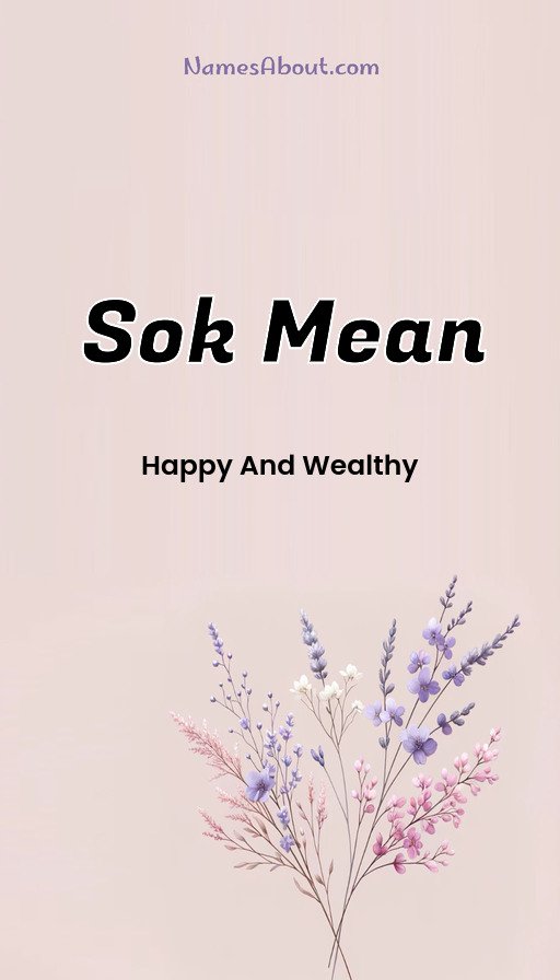 Meaning of Sok mean