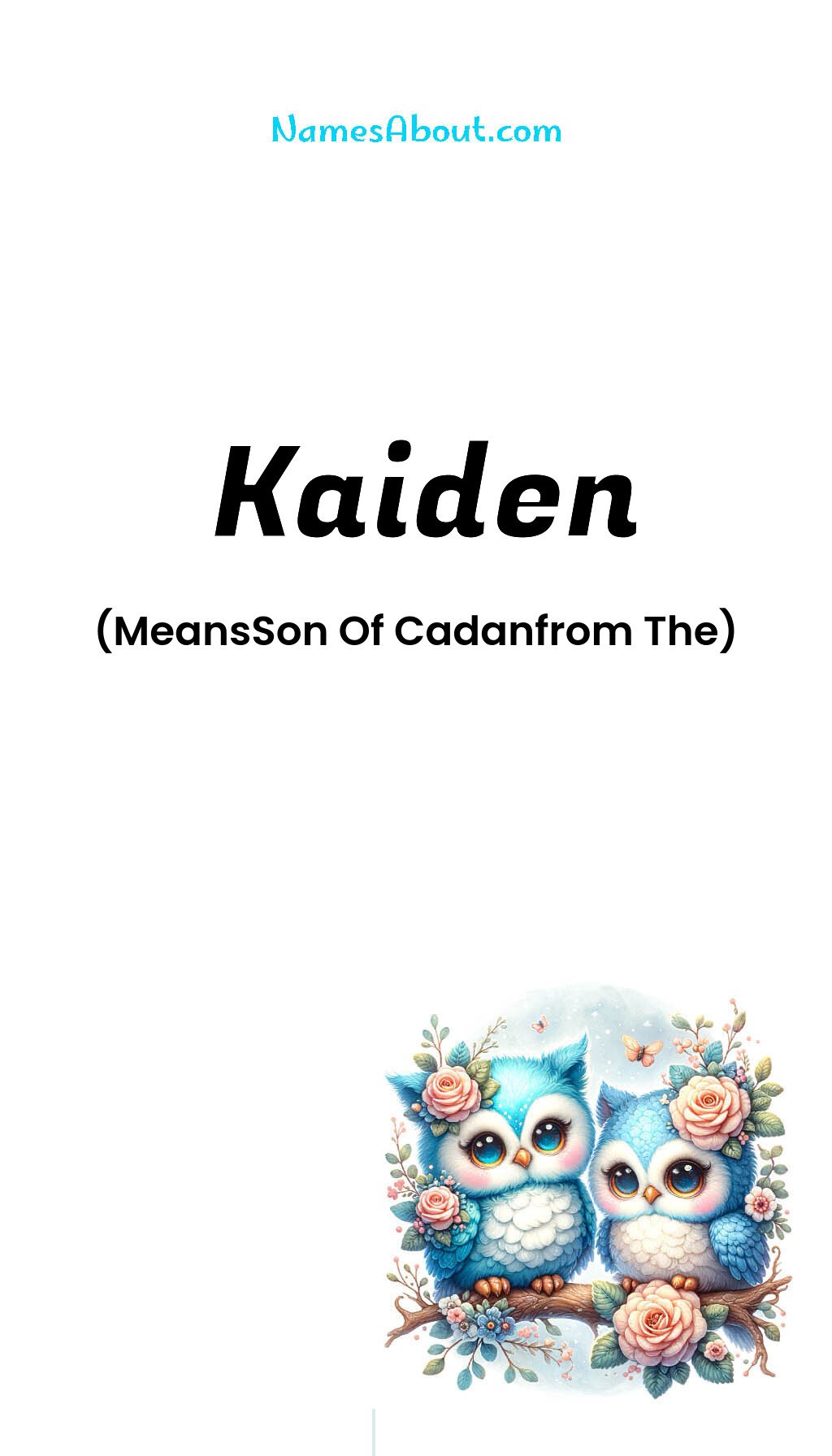 Kaiden name and meaning