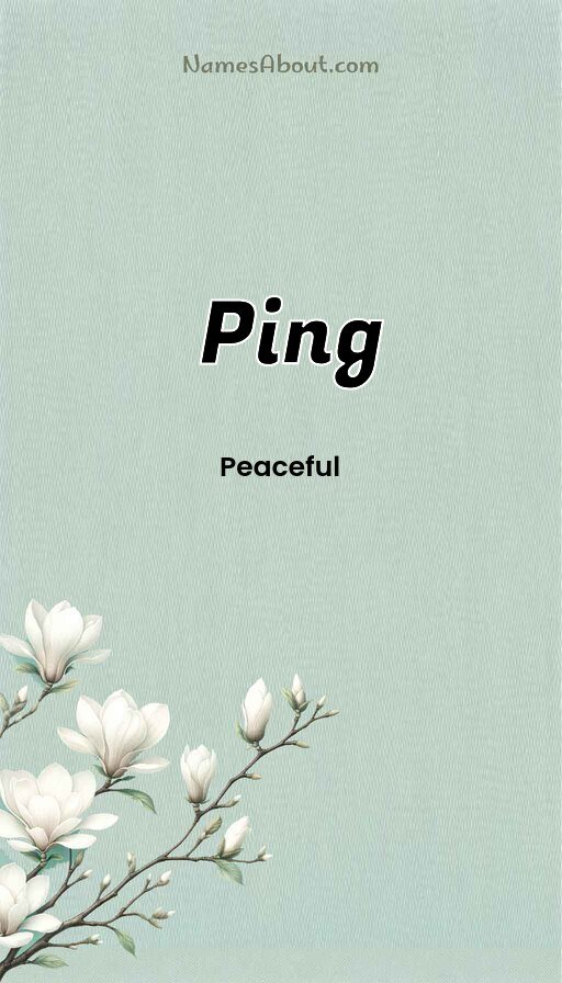 Meaning of Ping