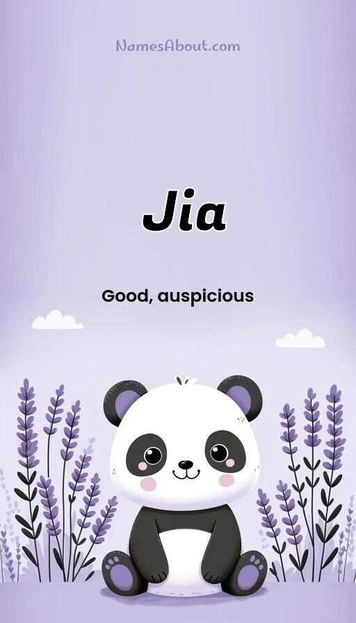 Jia name and meaning