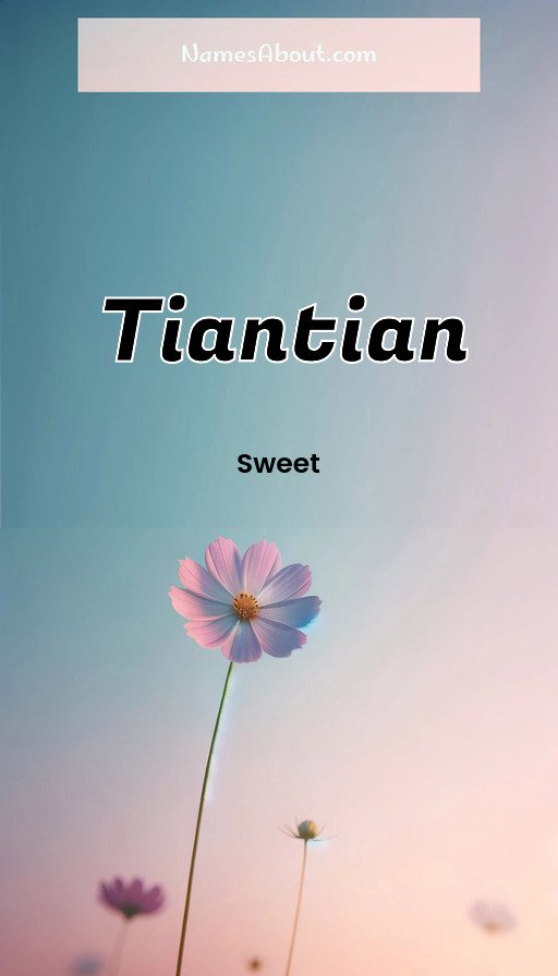 Meaning of Tiantian