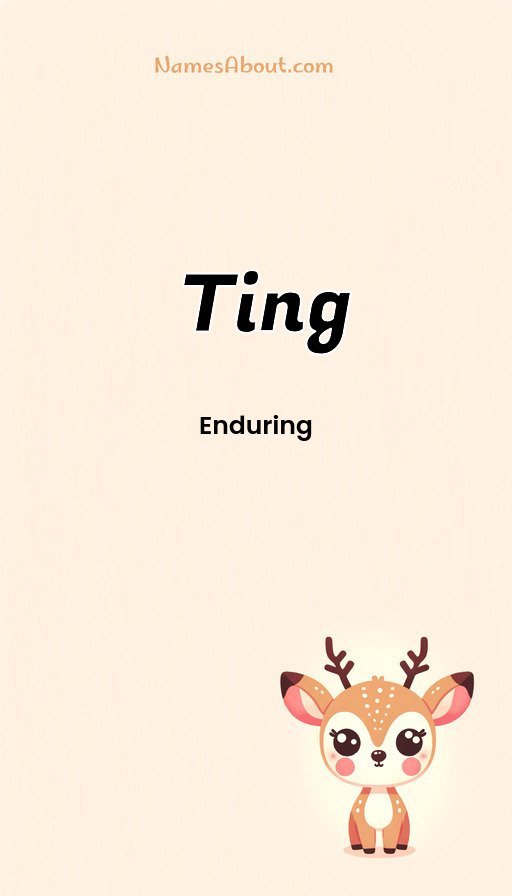 Meaning of Ting
