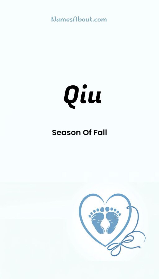 Meaning of Qiu