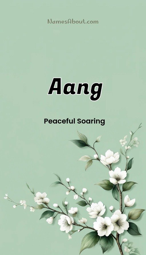 Meaning of Aang
