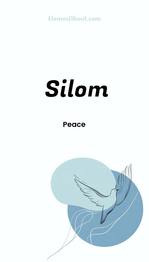Meaning of Silom