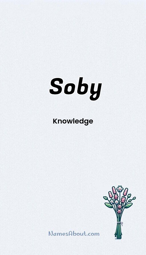 Meaning of Soby