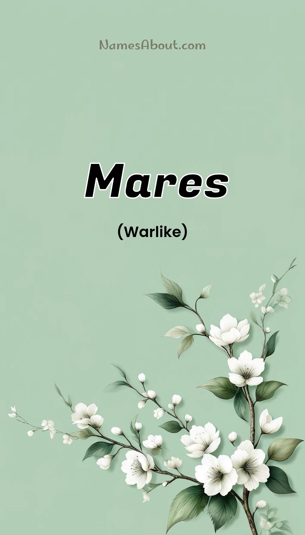 Mares name and meaning