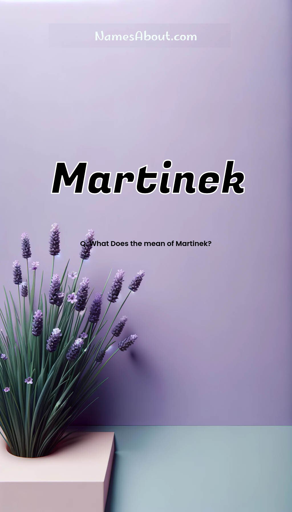 Martinek name and meaning