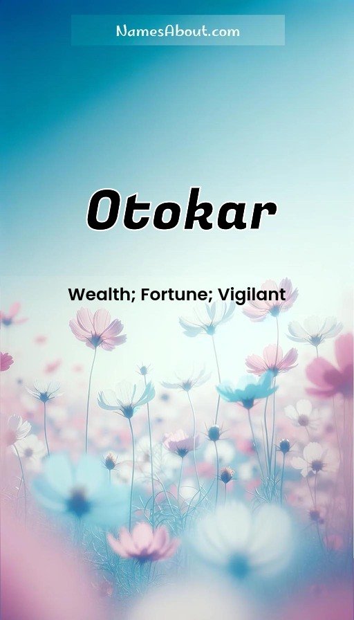 Meaning of Otokar