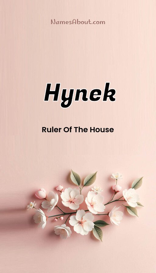 Meaning of Hynek