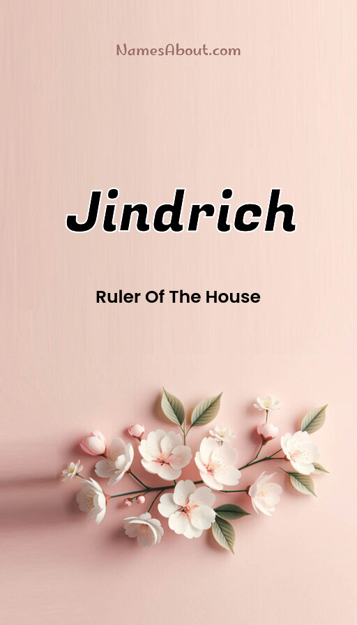 Meaning of Jindrich