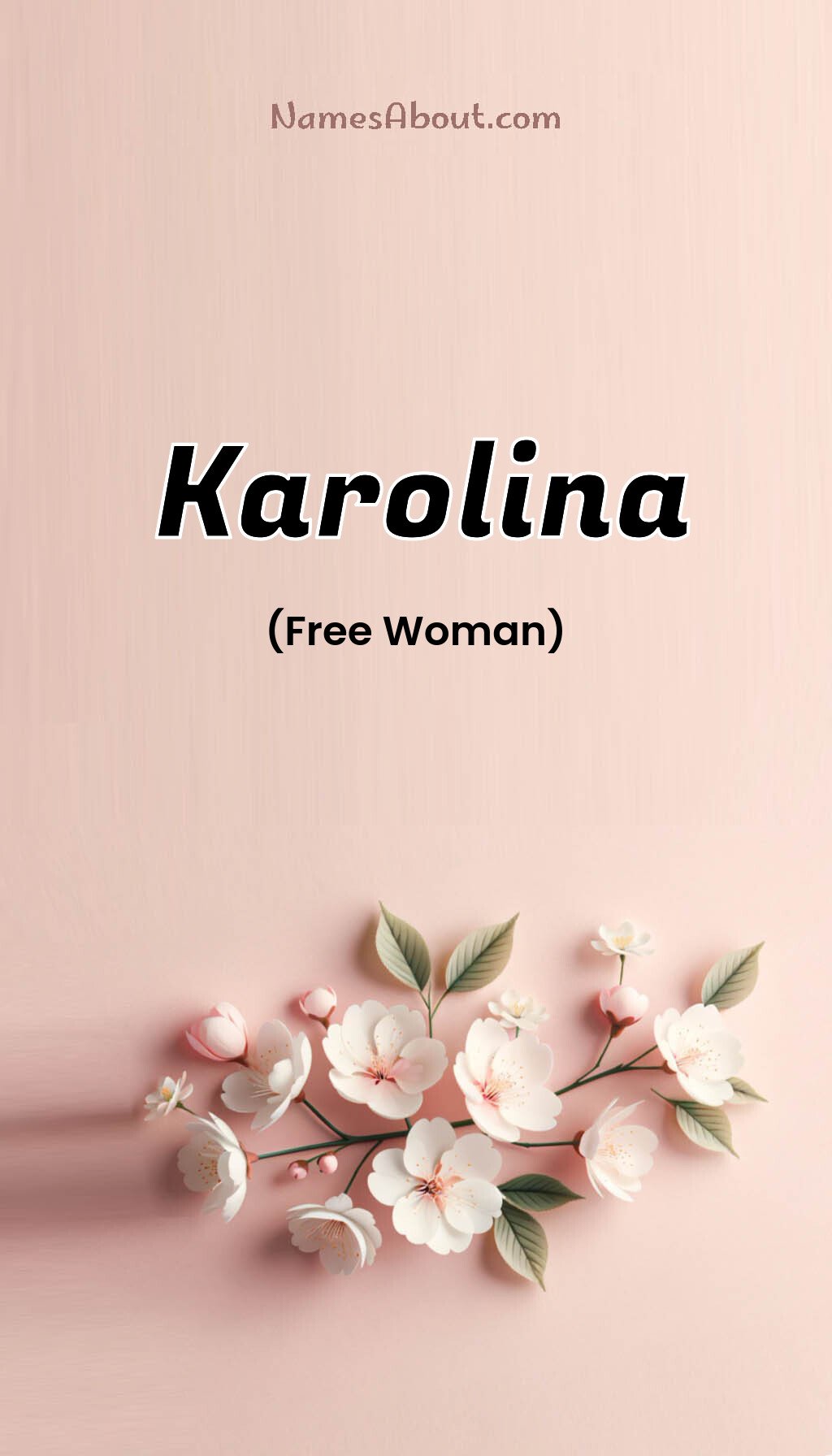 Karolina name and meaning