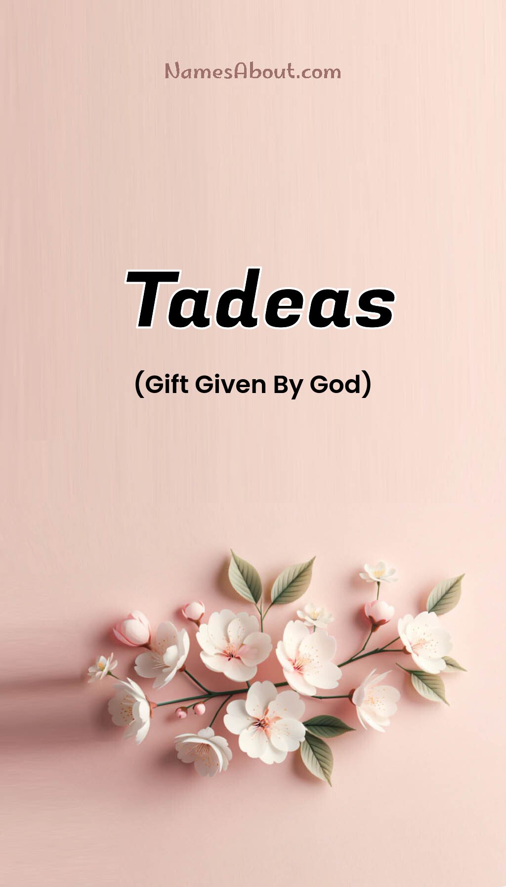 Tadeas name and meaning